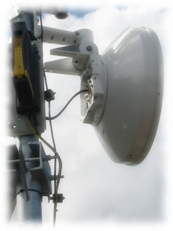 Antena